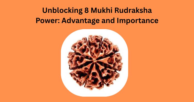 Unblocking 8 Mukhi Rudraksha Power: Advantage and Importance