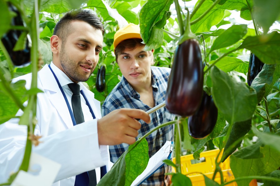 FSSC 22000 Lead Auditor Course Online